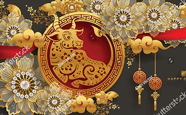 Formation à l'Astrologie Chinoise